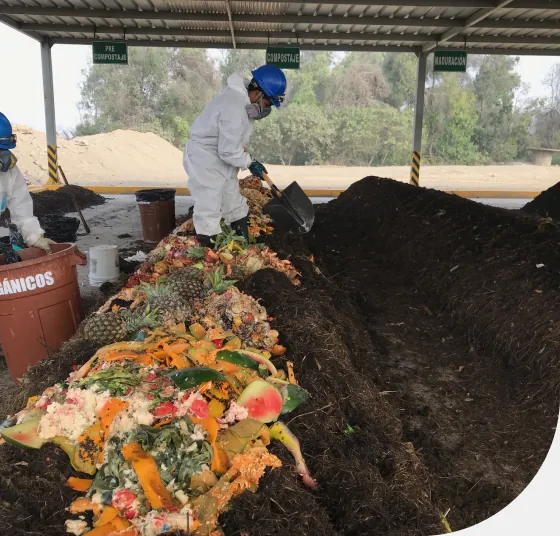 Gestión ambiental